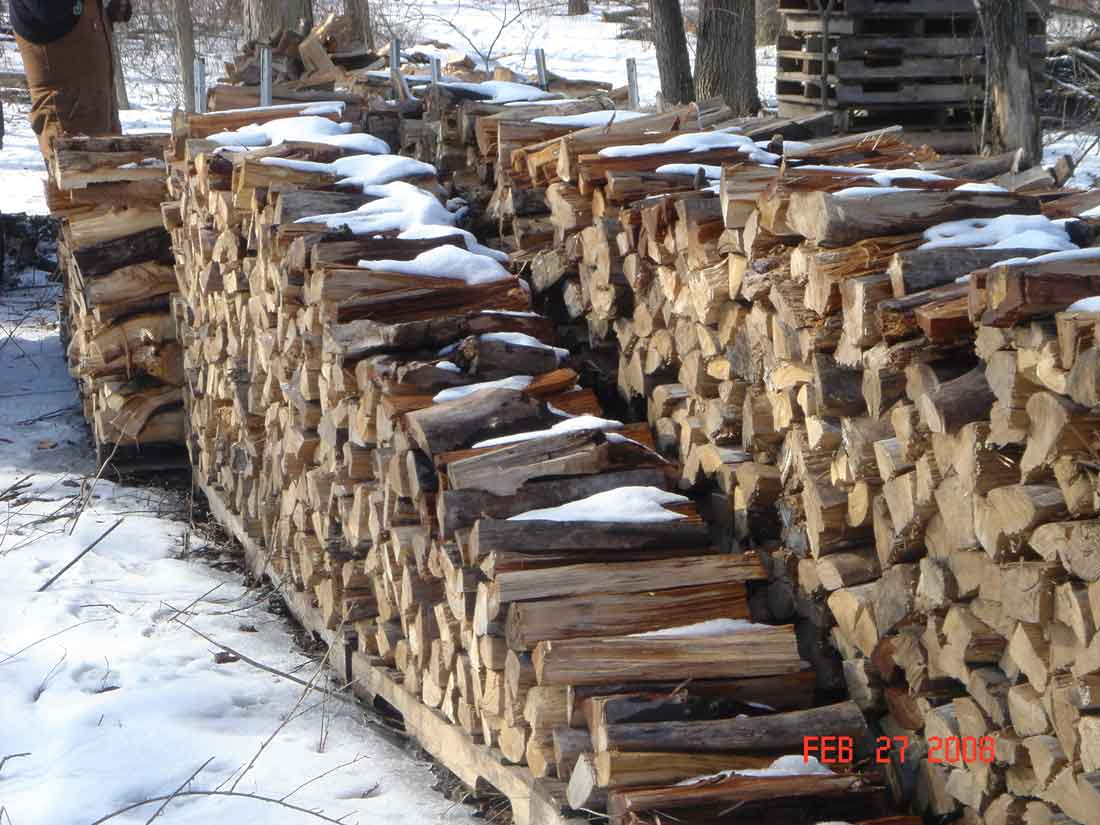 Cutting Firewood