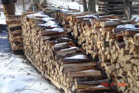 Red elm firewood, cut, split and stacked - click to enlarge
