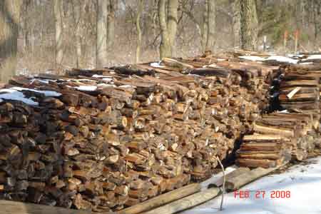 Walnut firewood, cut, split and stacked - click to enlarge